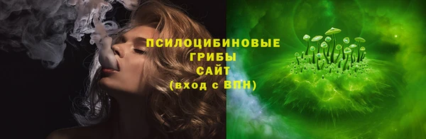 стаф Абаза
