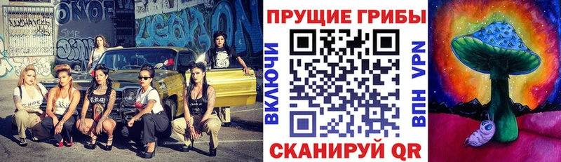 Псилоцибиновые грибы ЛСД  где можно купить наркотик  Ржев 